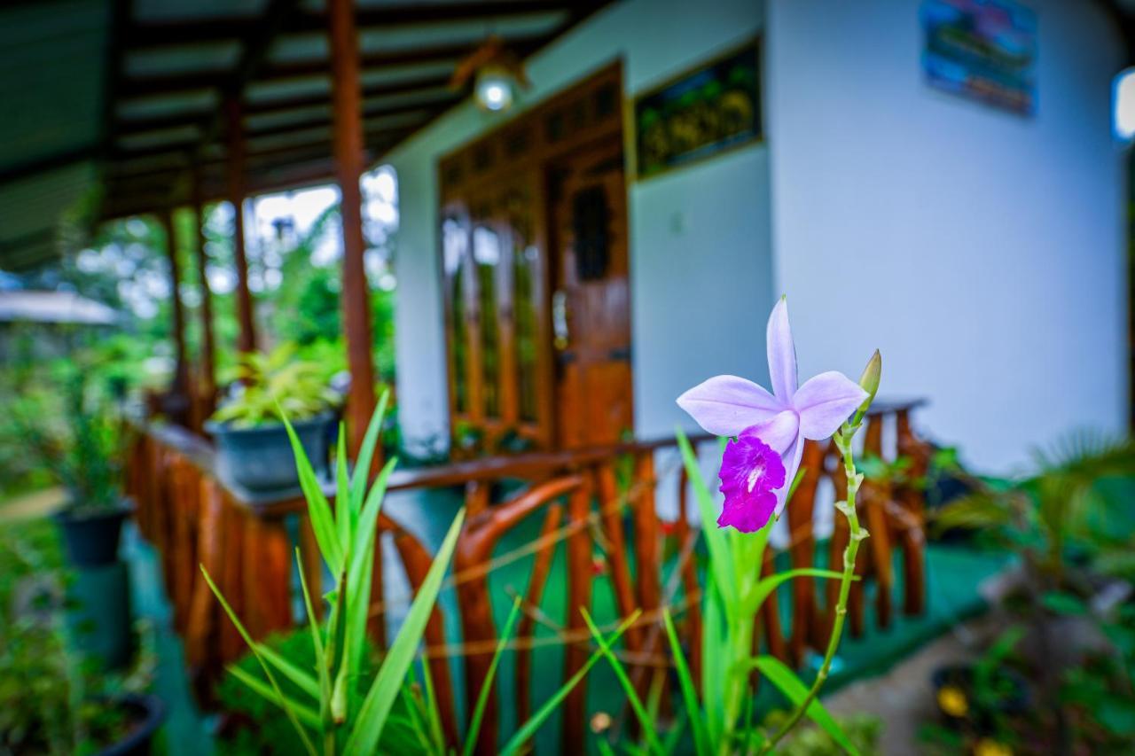 Astral Zone Cottage إيلا المظهر الخارجي الصورة